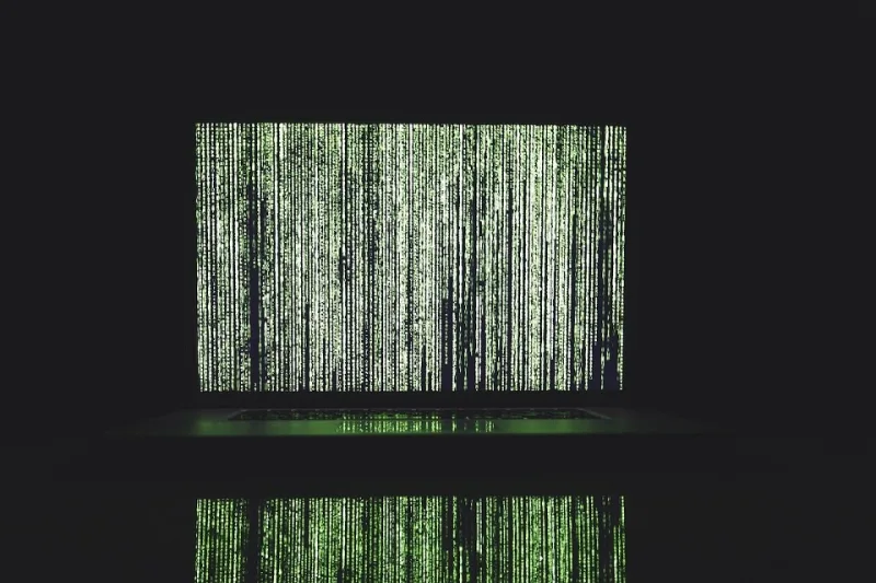 Zmasowany atak DDoS na polskie e-usługi: mObywatel i CEPiK