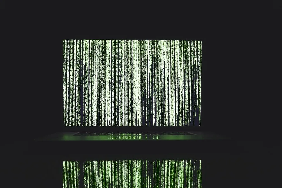 Zmasowany atak DDoS na polskie e-usługi: mObywatel i CEPiK